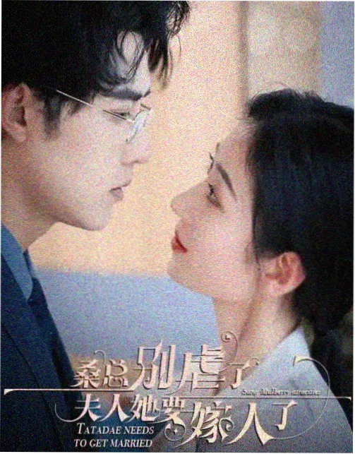 看视频-诺兰新片资讯
